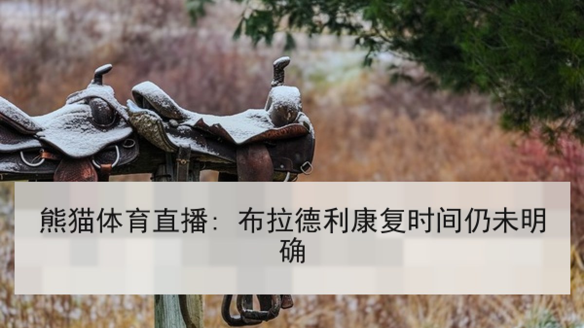 熊猫体育直播: 布拉德利康复时间仍未明确